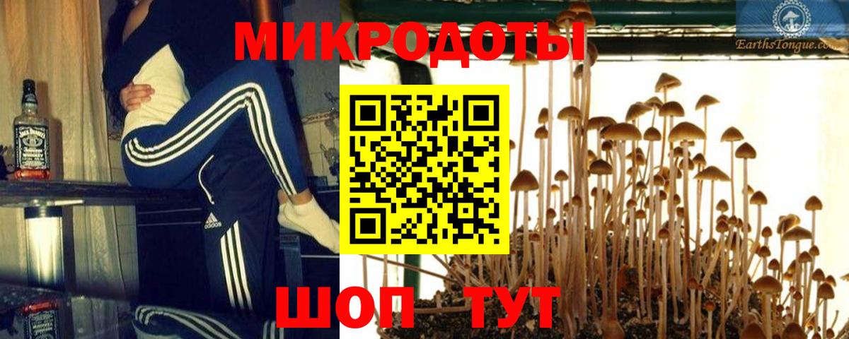 Псилоцибиновые грибы Psilocybine cubensis Сургут