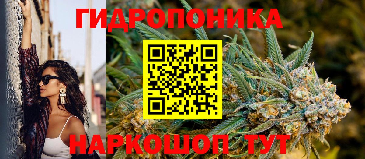 Каннабис план Сургут